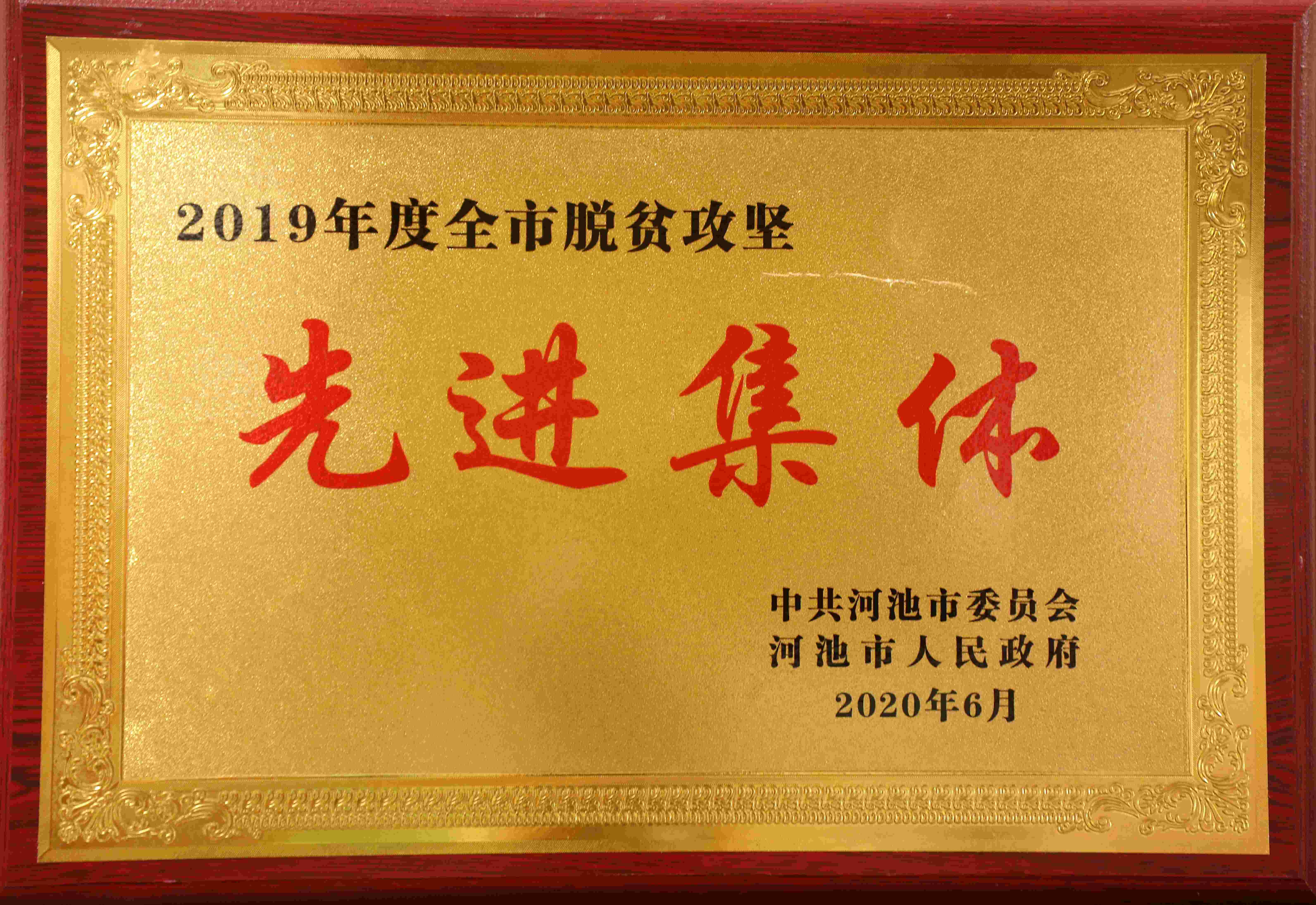 2019年度河池市脫貧攻堅先進集體